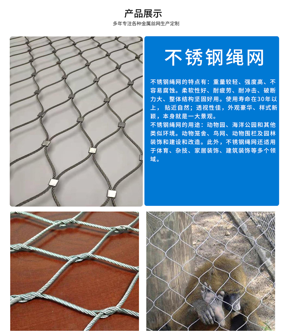 不锈钢绳网(图1)